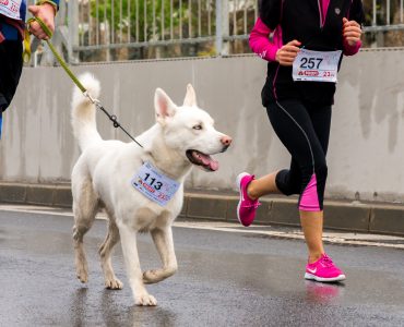 Is Borrowing A Race Bib Wrong
