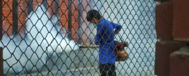 DIY Pest Prevention: When It Works & and When to Call the Pros