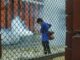 DIY Pest Prevention: When It Works & and When to Call the Pros