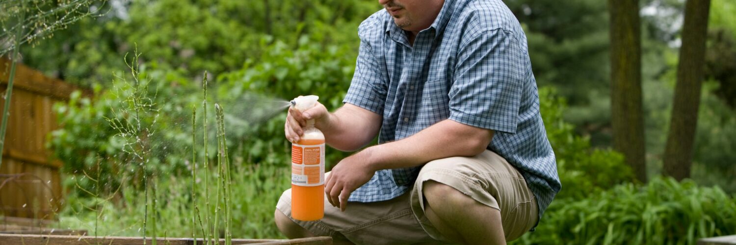 Beyond the Seasons: A Closer Look at How Pest Activity Really Works