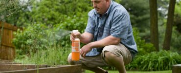 Beyond the Seasons: A Closer Look at How Pest Activity Really Works