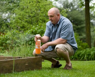 Beyond the Seasons: A Closer Look at How Pest Activity Really Works