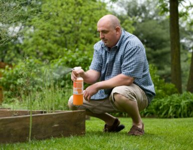 Beyond the Seasons: A Closer Look at How Pest Activity Really Works