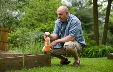 Beyond the Seasons: A Closer Look at How Pest Activity Really Works