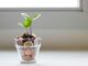Saving Money for Families